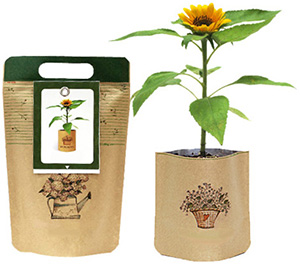 Растения с логотипом